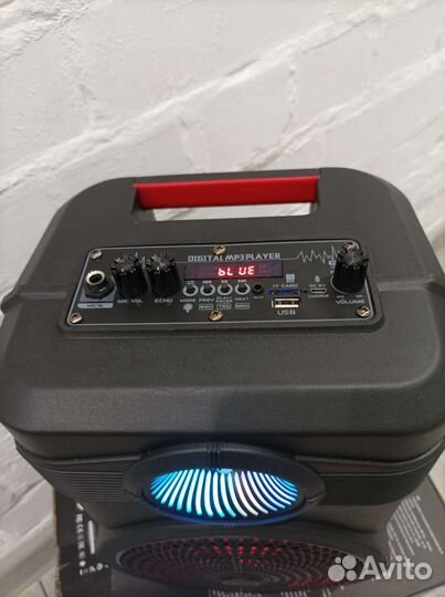 Колонка + караоке беспроводная уличная