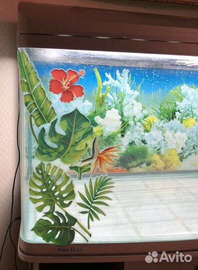 Флорариум, террариум