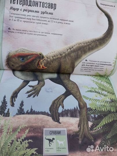 Гигантская книга Динозавры