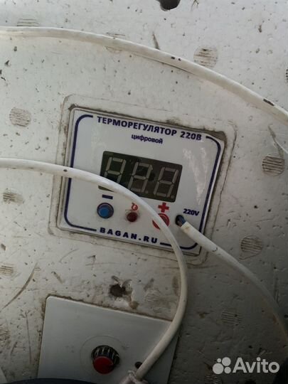 Инкубатор для яиц