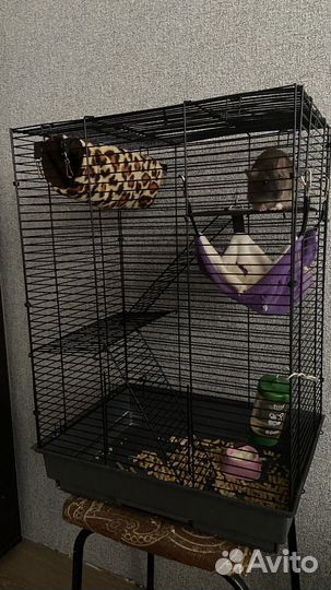 Клетка для грызунов