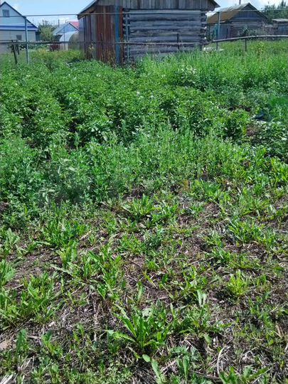 Участок 7,5 сот. (ИЖС)