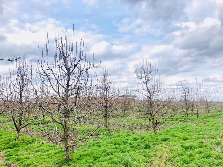 Участок 45,6 сот. (ИЖС)