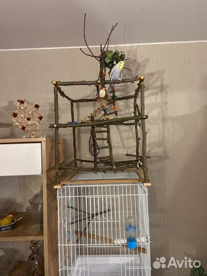 Игровой стенд для попугая