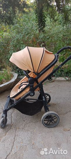 Детские коляски 2 в 1 rant