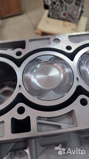 Шорт блок 1.5 Ecoboost M8MB/M8DA