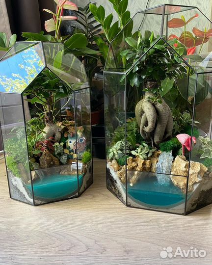 Флорариум с бонсай