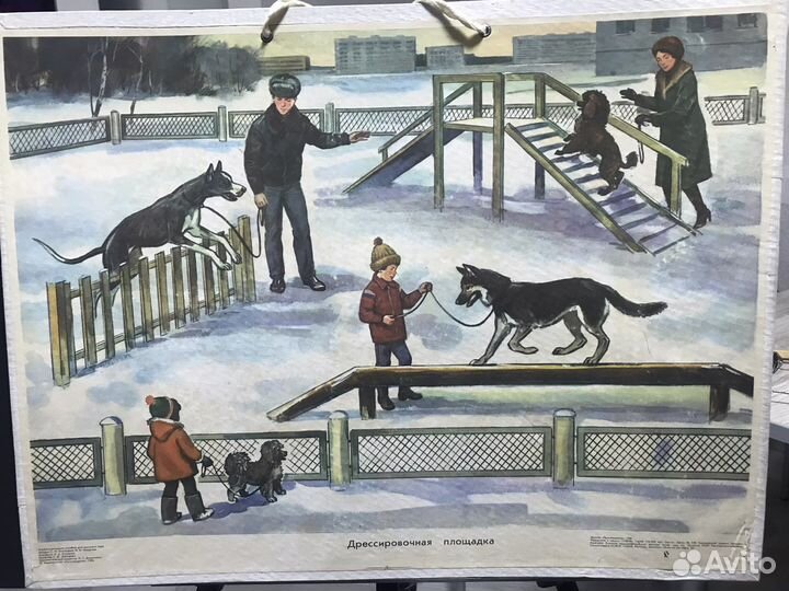 Плакаты СССР. Наглядное пособие для детей