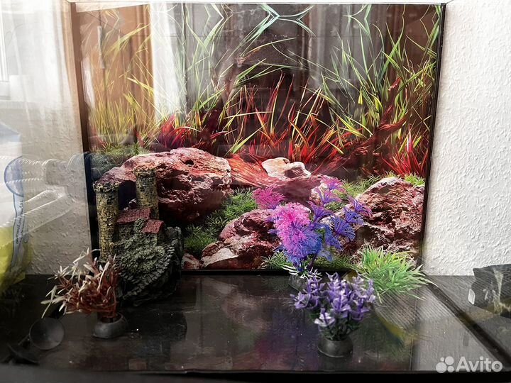 Аквариум для рыбок