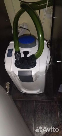 Аквариум с красноухой черепахой