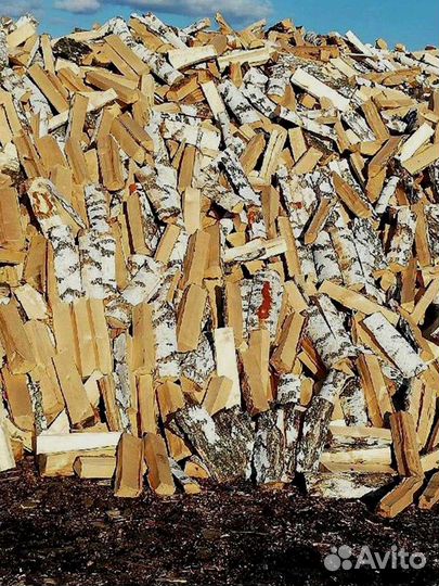 Дрова колотые березовые
