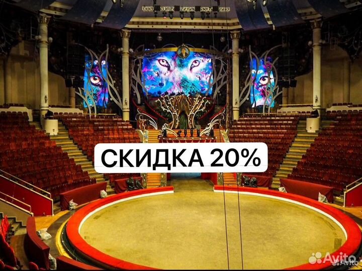 Билеты в цирк Никулина