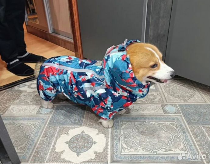 Одежда для собак, для французского бульдога, корги