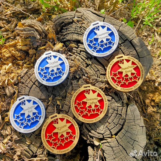 Медали выпускникам