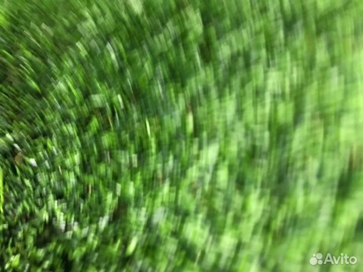 Патрубок системы охлаждения Bmw 5 E60 N62B48 2006