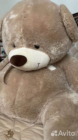 Мягкая мишка
