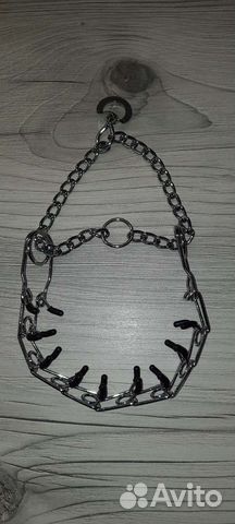 Строгий ошейник для собак