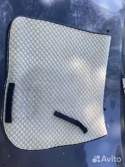 Недоуздок для пони и вальтрапы