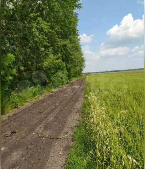 Участок 5,77 га (СНТ, ДНП)