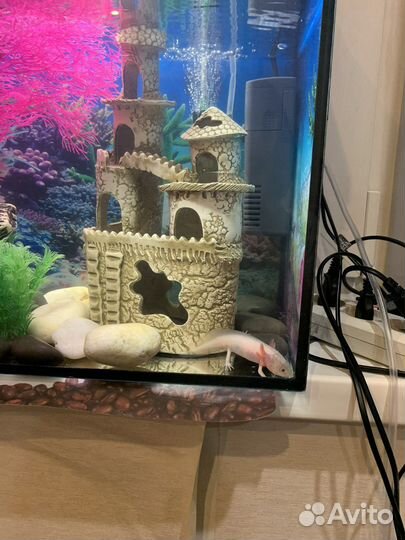 Аквариум