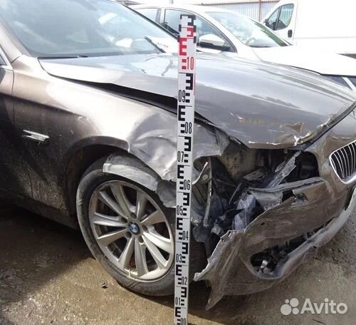 Независимая экспертиза