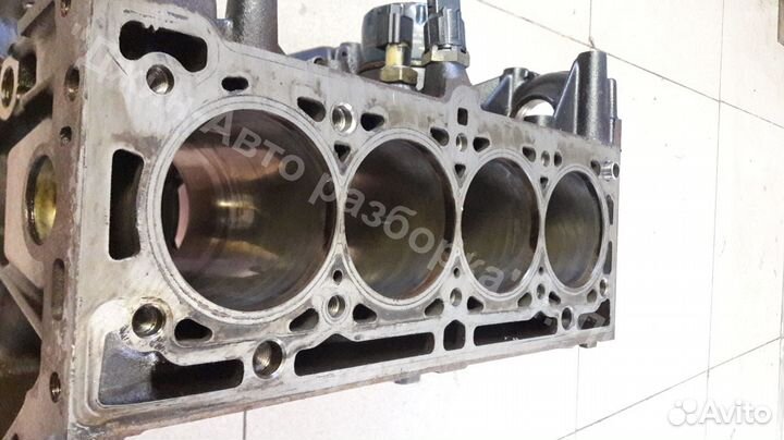Блок двигателя 1.6 бензин k4m976 Duster Modus