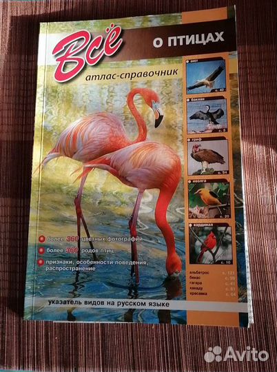 Все о птицах атлас - справочник