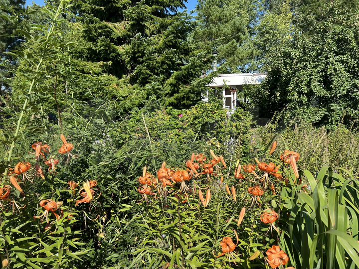 Участок 11 сот. (ИЖС)