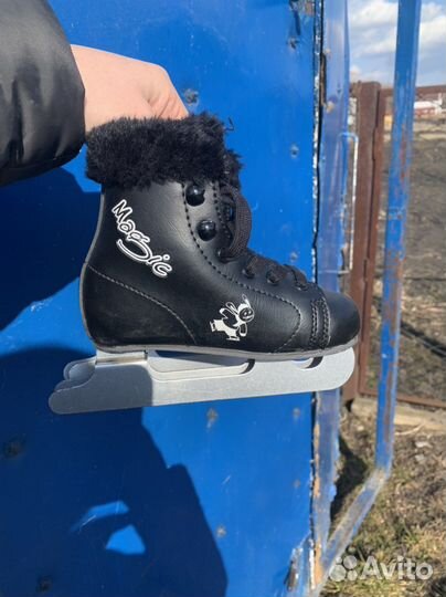 Коньки двухполозые