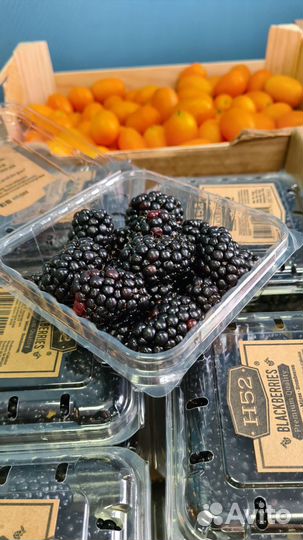 Ежевика свежая