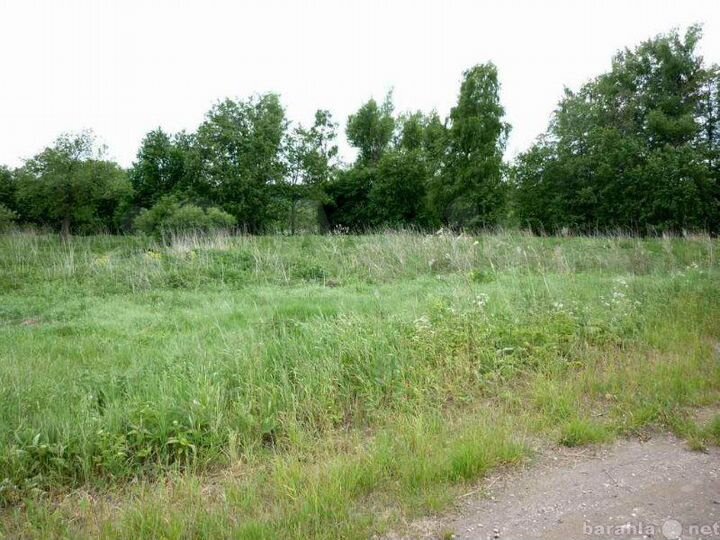 Участок 15 сот. (ИЖС)