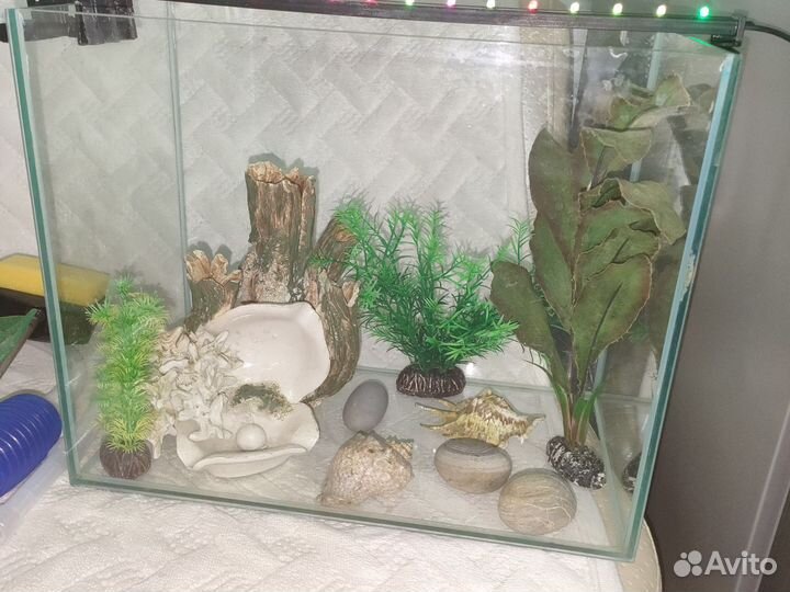 Аквариум и аксессуары