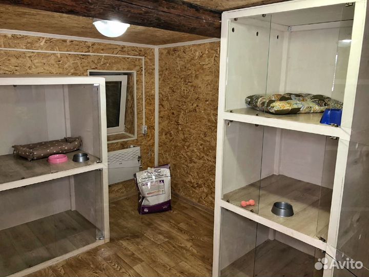 Гостиница для животных