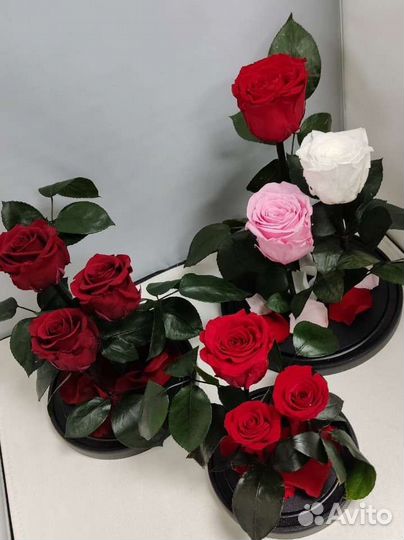 Роза в колбе оптом и в розницу