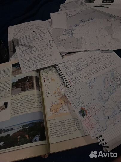 Репетитор по истории и обществознанию