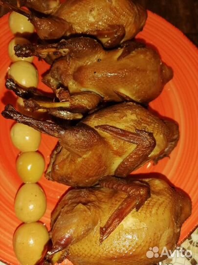 Перепелки и инкубационное яйцо