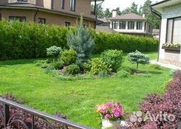 Рулонный газон