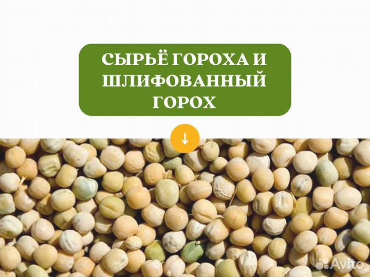 Горох с поля (сырье) (кг)