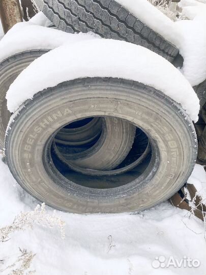 Белшина escortera 265 70 19,5