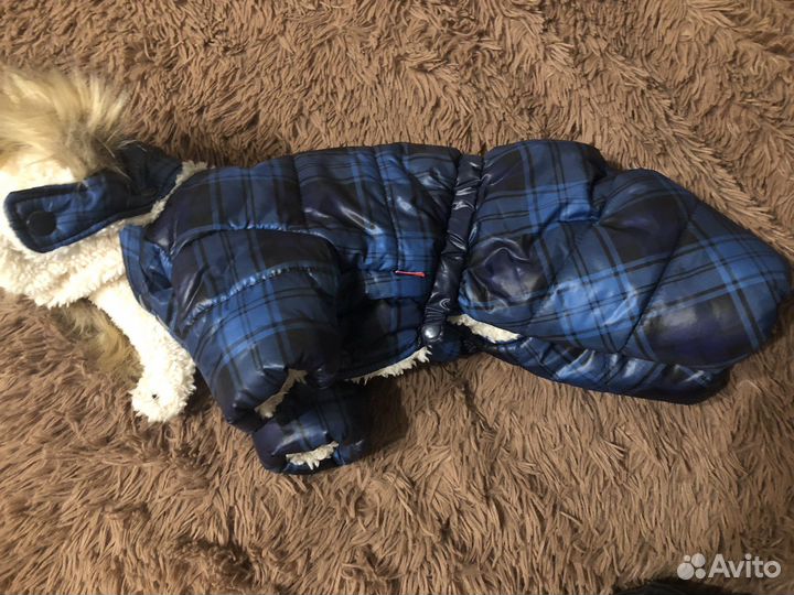 Комбез зимний на собаку