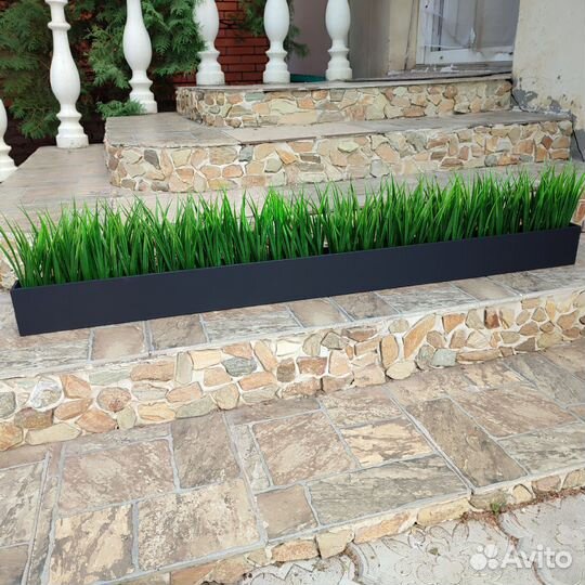 Зелень, трава Осока на основе и в ящике/кашпо Т