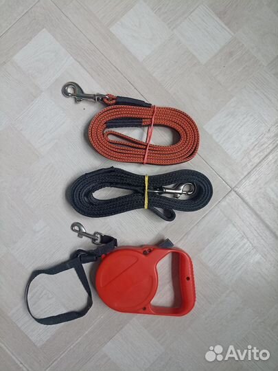 Поводок, ошейник для крупной собаки