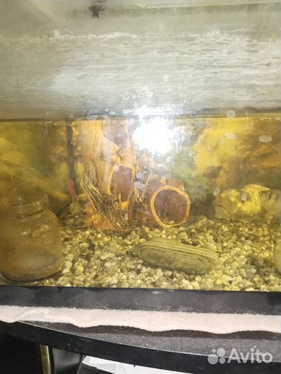 Аквариум