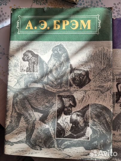 Продам книги Брэм, Жизнь животных