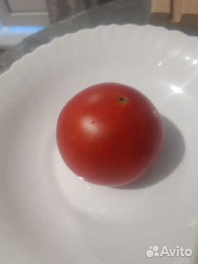 Семена томатов