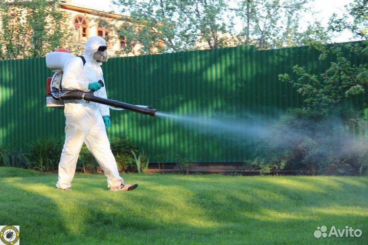 Дезинсекция, травля клопов, уничтожение тараканов