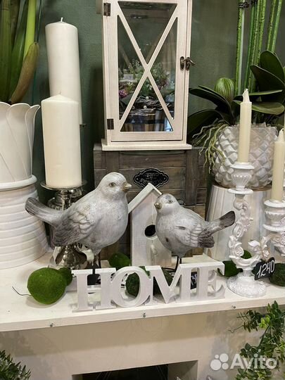 Птицы интерьерные