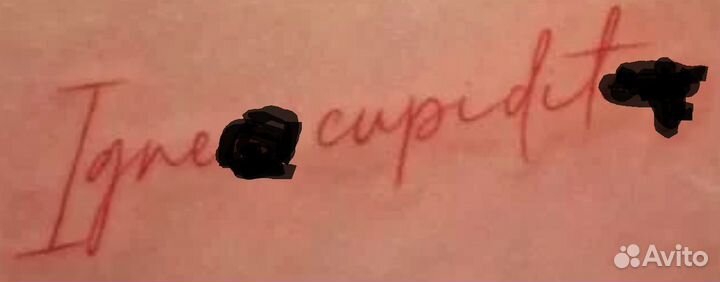 Переводы с Латыни и на Латынь