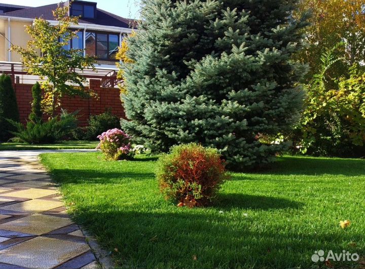 Проект и монтаж автополива под ключ,укладка газона