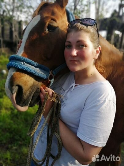 Обучение верховой езде. Прогулки. Фотосессии